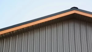 Metal Siding Fraser Valley